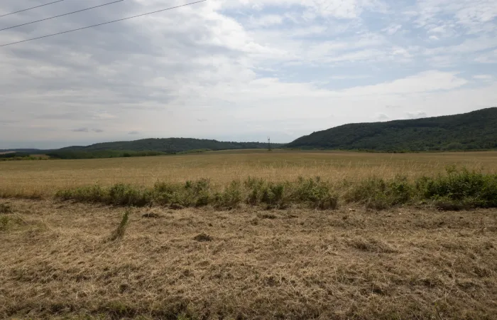 Kisgyőr Önkormányzat - Borsod-Abaúj-Zemplén Vármegye Önkormányzata